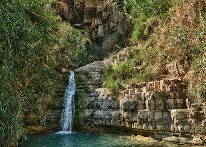 Exploring Ein Gedi: Oasis Adventures by the Dead Sea