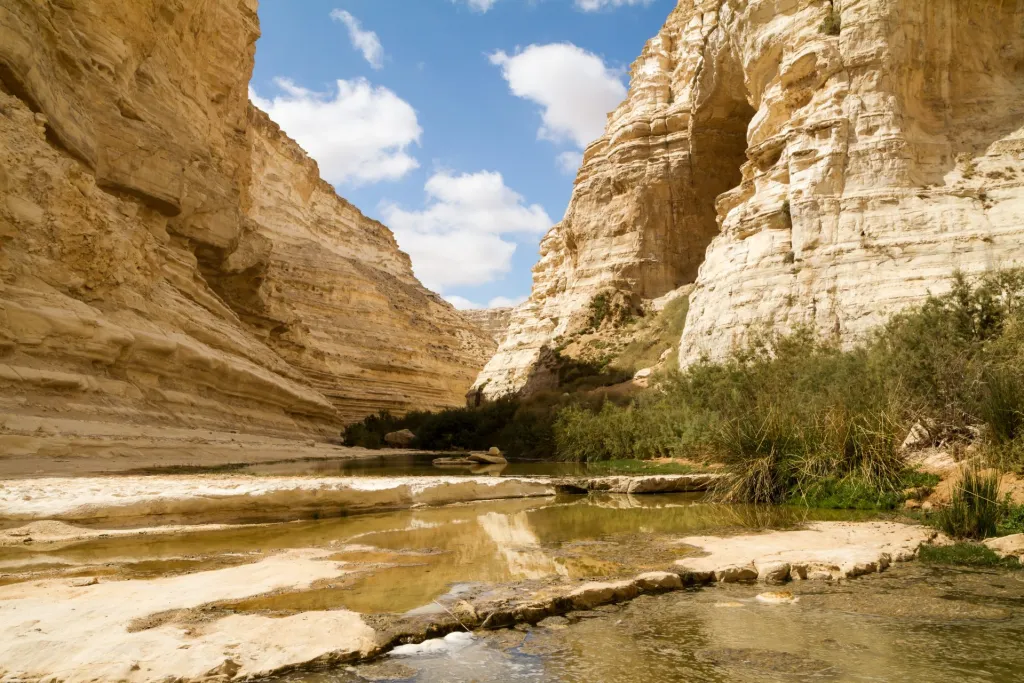 Digging into Negev: Unveiling Desert Wonders