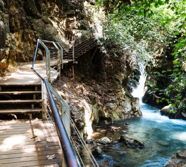 Banias Nature Reserve: A Breathtaking Oasis Awaits
