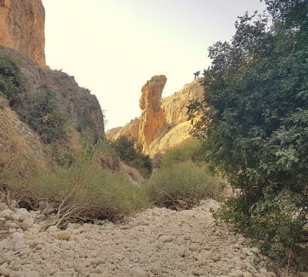 Embark on an Unforgettable Journey: Hike the Nachal Amud Trail