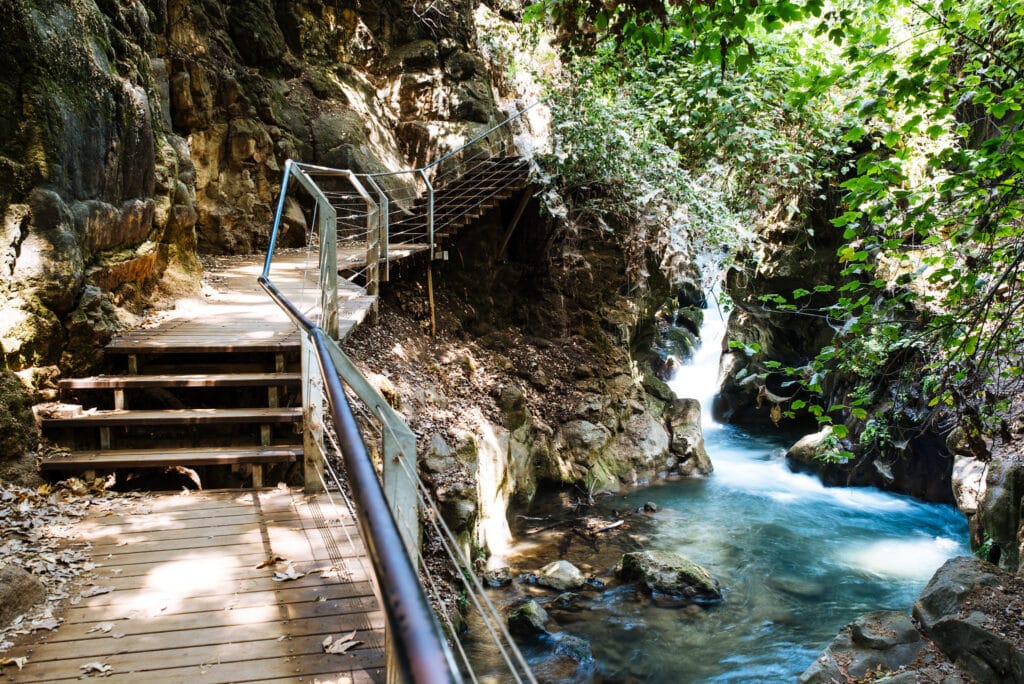 Banias Nature Reserve: A Breathtaking Oasis Awaits